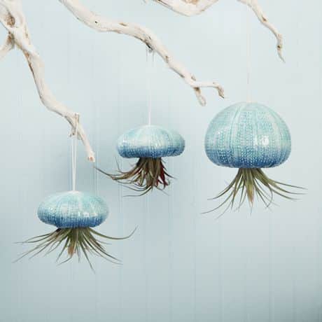 Hanging Jellyfish Ceramic Air Plant Holders - Set of 3
