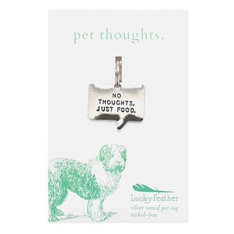 Non-Engraved Pet Thoughts Pet Tags