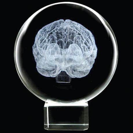 Laser Etched LED Lighted Brain in Crystal Sphere