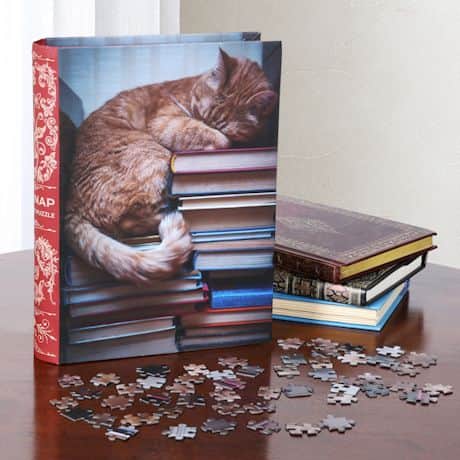 Cat Nap Puzzle In Bookshelf Box