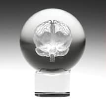 Alternate image Laser Etched LED Lighted Brain in Crystal Sphere