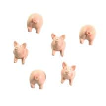 Alternate image Pig And Hedgehog Magnet Sets