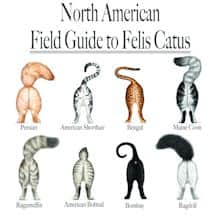 Alternate image American Field Guide to Cats Shirt