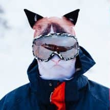 Alternate image Animal Face Balaclava Ski Mask