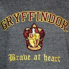 Harry Potter House Shirts & Hoodies
