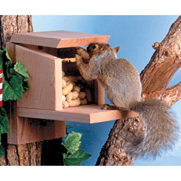 Product image for Squirrel Munch Box