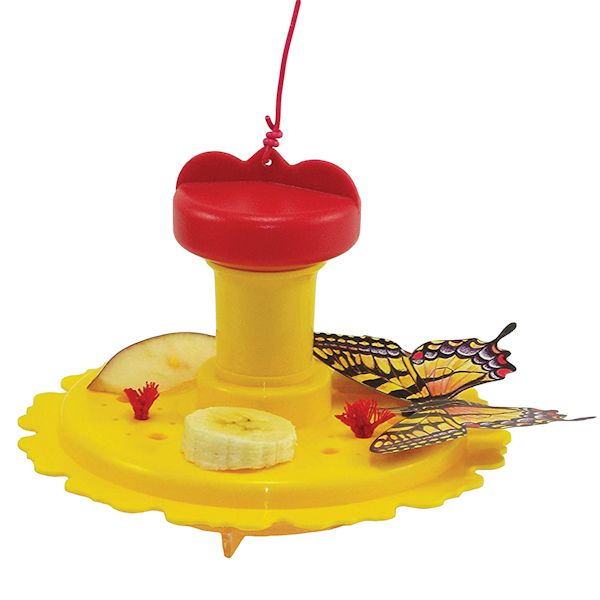 Product image for Butterfly Feeder