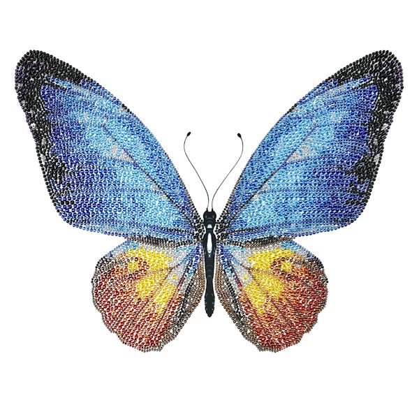 Product image for DIY Beading Butterfly