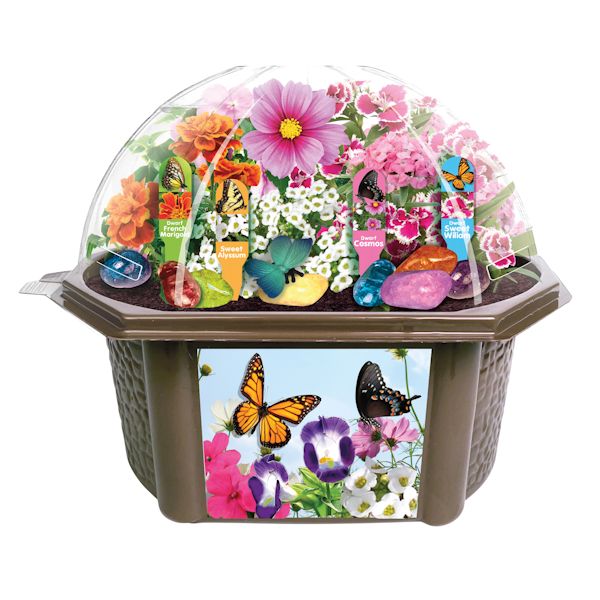 Product image for Butterfly Garden Growkit