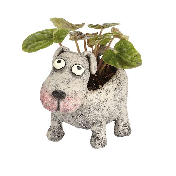 Product image for Petunia The Pup Planter