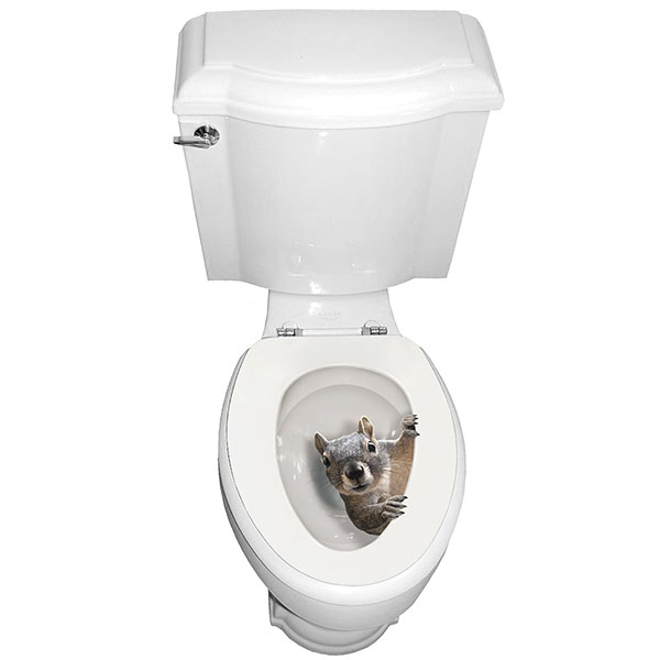 Product image for It's a Squirrel! Toilet Seat Tattoo Decal