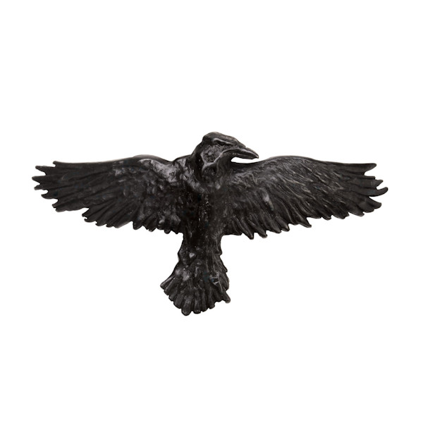 Product image for Raven Hair Clip