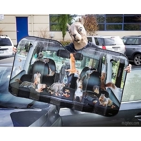 Product image for Car Full of Squirrels Auto Windshield Sun Shade