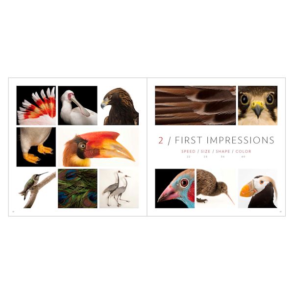 Product image for Birds of the Photo Ark