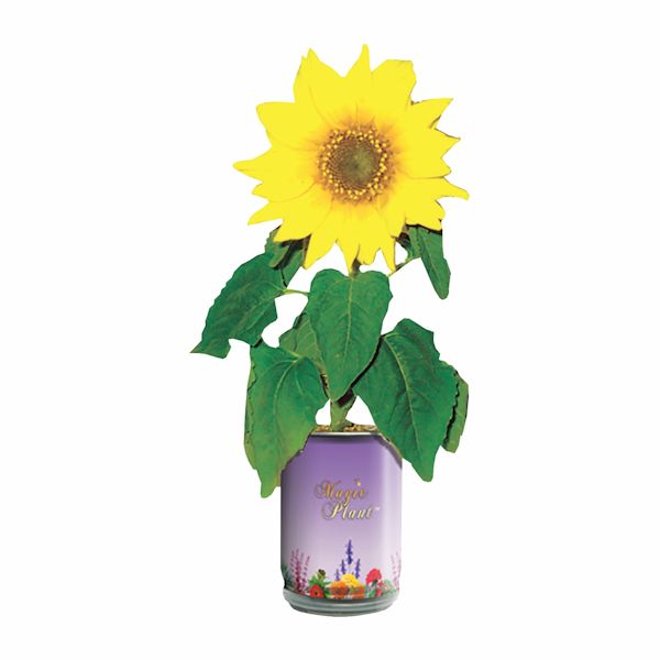 Product image for Grow Your Own Sunflower
