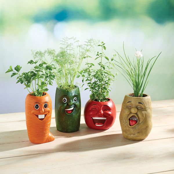 Product image for Veggie Herb Pots