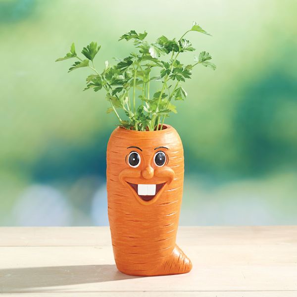 Product image for Veggie Herb Pots Set Of 4