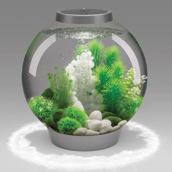 Product image for BiOrb Aquarium Kit - 4 Gallon