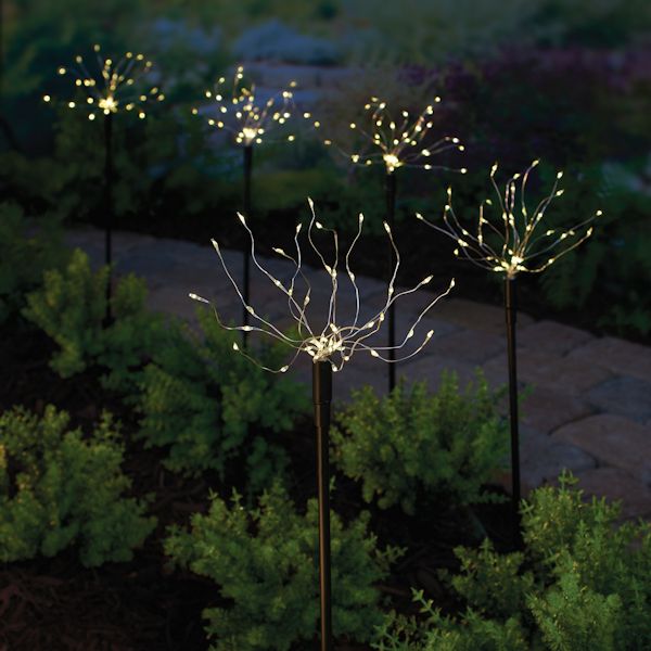 Product image for Solar Lighted Garden Stakes