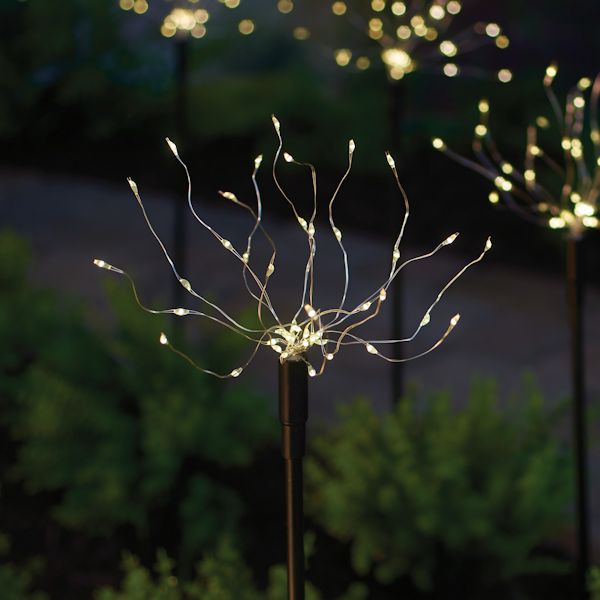 Product image for Solar Lighted Garden Stakes