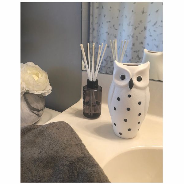 Product image for Set Of 2 Owl Vases