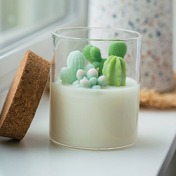 Product image for Terrarium Candles