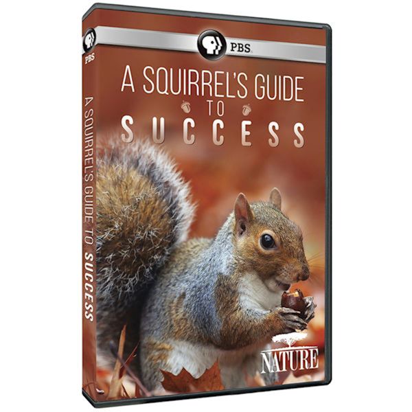 Product image for A Squirrel's Guide to Success DVD