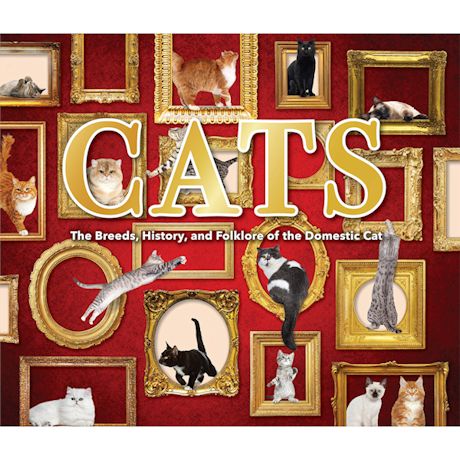 Cats Book