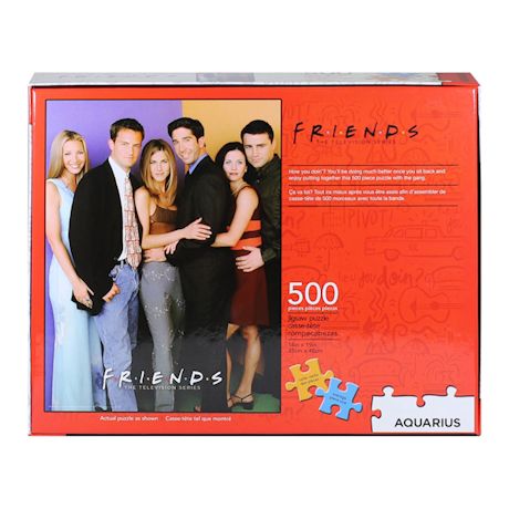 Friends Pop Culture 500 Piece Puzzle