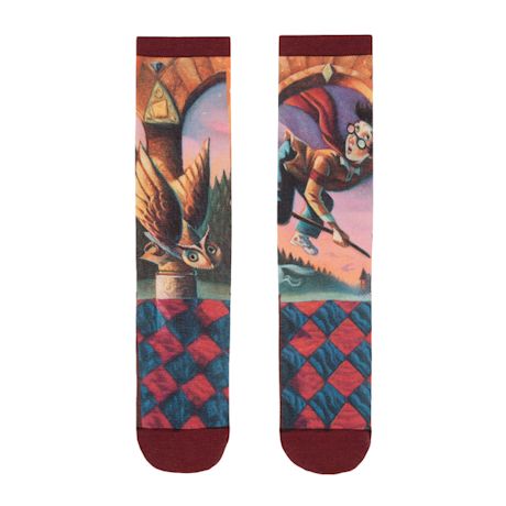 Product image for Harry Potter Book Cover Socks