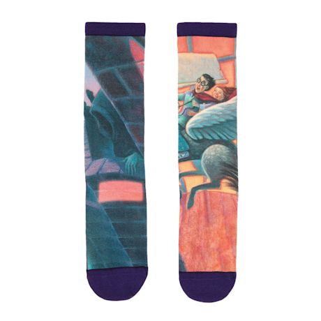 Product image for Harry Potter Book Cover Socks