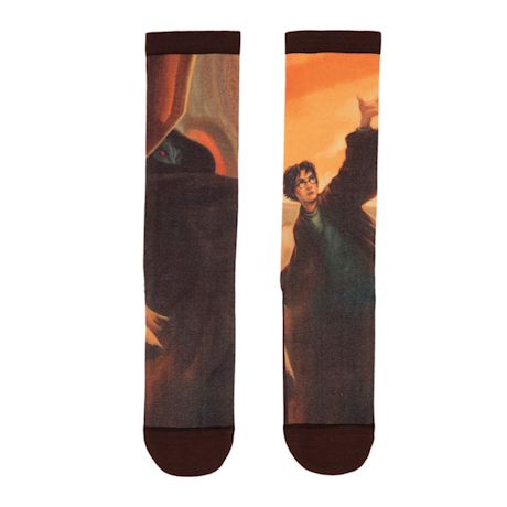 Harry Potter Book Cover Socks