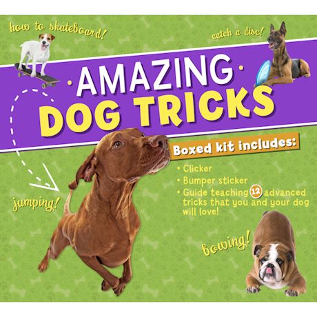 Amazing Dog Tricks Boxed set