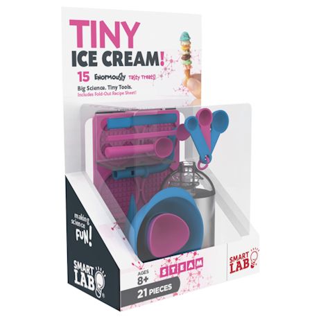 Tiny Ice Cream DIY Kits