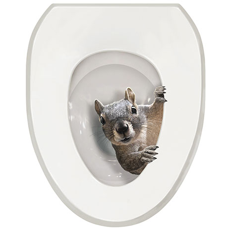 It's a Squirrel! Toilet Seat Tattoo Decal