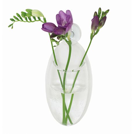 Clear Window Vases