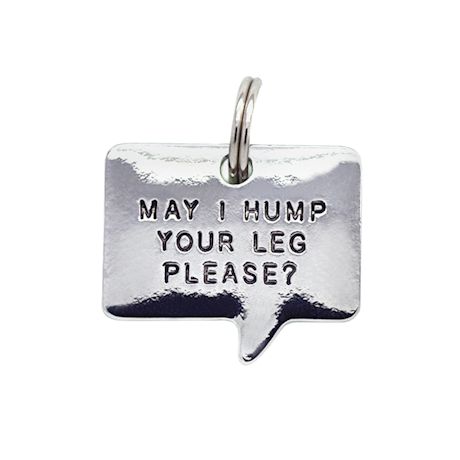 Product image for Engraved Pet Thoughts Pet Tags
