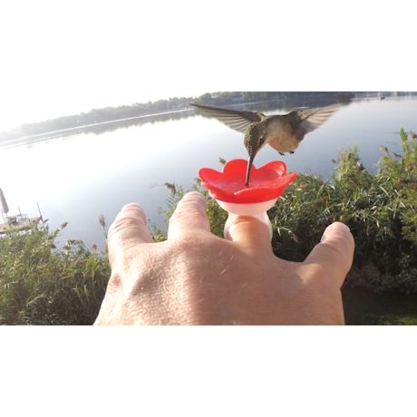 Product image for Hummer Rings Hummingbird Feeder