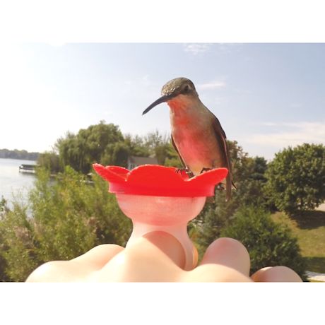 Product image for Hummer Rings Hummingbird Feeder