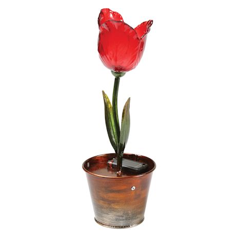 Red Solar Flower Pot