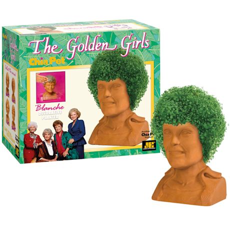 Golden Girl Chia Heads
