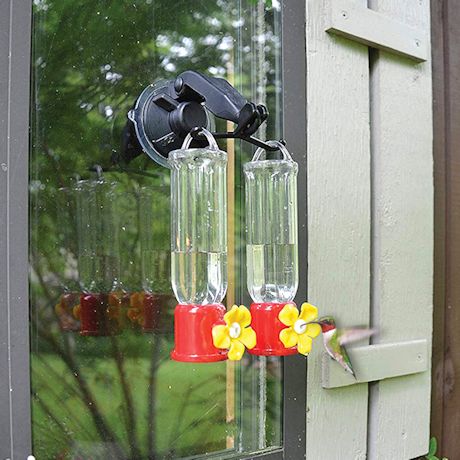 Double Window-Mount Hummingbird Feeder