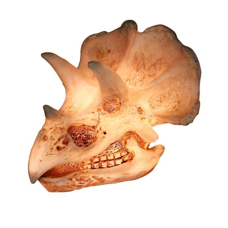 Dinosaur Head Accent Lamps