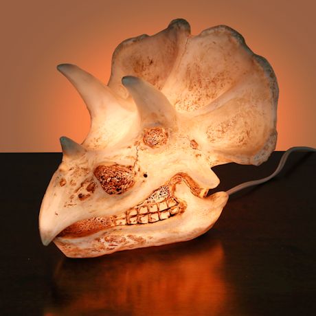 Dinosaur Head Accent Lamps