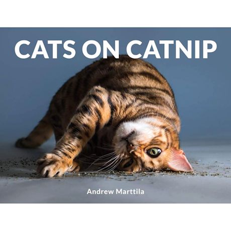 Cats On Catnip Book