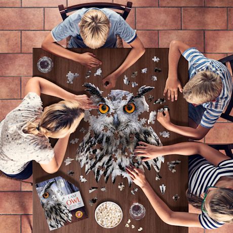 Product image for I Am OWL Puzzle - Small, 300pcs.