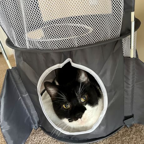 Product image for Rocket Ship Cat Condo