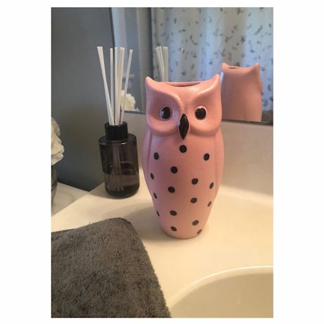 Set Of 2 Owl Vases