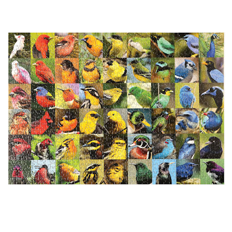 Rainbow Of Birds 1000 Piece Puzzle