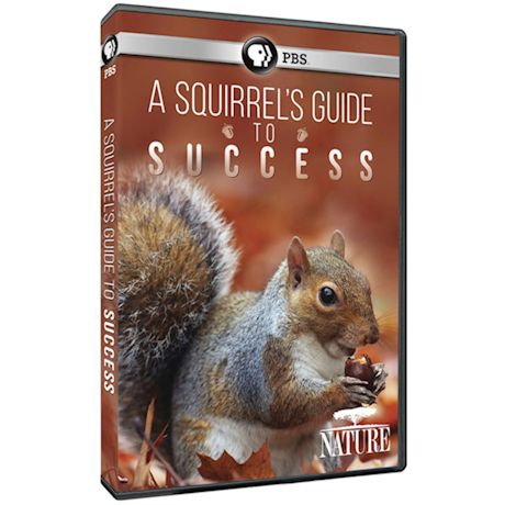 A Squirrel's Guide to Success DVD